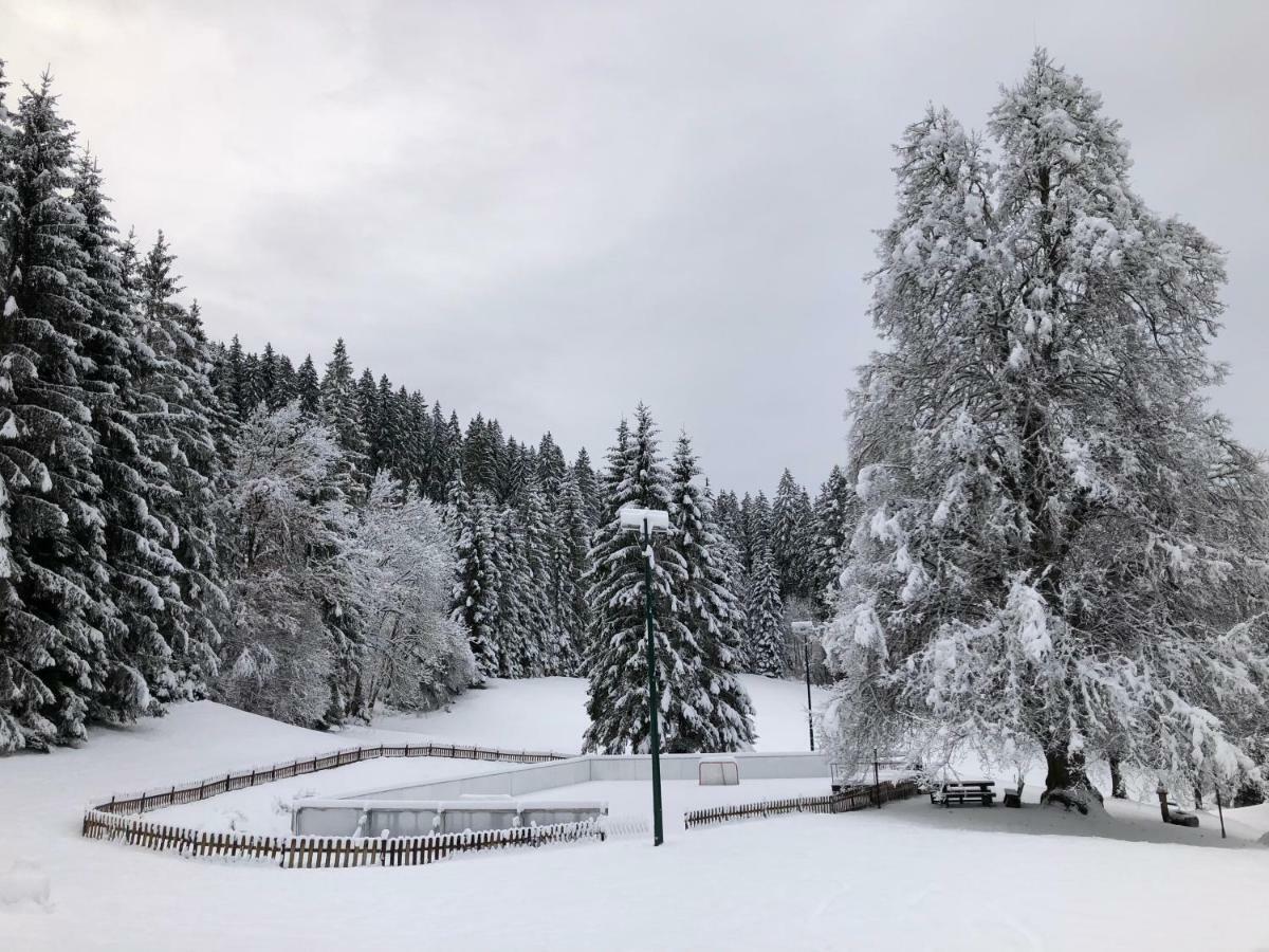 Urlaubsalm Kreuth 6 Villa Liebenfels Exterior foto